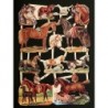 Lámina de cromos troquelados alemanes EF 7211 · Caballos ·
