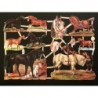 Lámina de cromos troquelados alemanes EF 7226 · Caballos ·