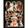 Lámina de cromos troquelados alemanes EF 7238 · Perros y Gatos ·
