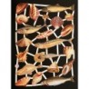 Lámina de cromos troquelados alemanes EF 7247 · Animales Marinos ·