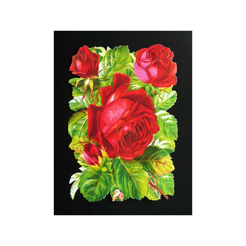 Cromo troquelado gigante y gran grosor alemán de 16 cm. EF BK 5103 · Rosas Rojas ·