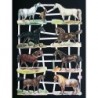 Lámina de cromos troquelados alemanes EF 7263 · Caballos ·