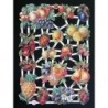 Lámina de cromos troquelados alemanes EF 7274 · Frutas ·
