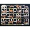 Lámina de cromos troquelados alemanes EF 7276 · Animales Salvajes I ·