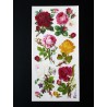 Lámina de cromos adhesivos troquelados · Rosas ·
