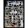 Lámina de cromos troquelados alemanes EF 7288 · Gatitos ·
