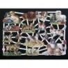 Lámina de cromos troquelados alemanes EF 7289 · Preciosos Perritos