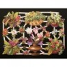 Lámina de cromos troquelados alemanes EF 7296 · Flores y Helechos ·