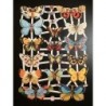 Lámina de cromos troquelados alemanes EF 7297 · Mariposas ·
