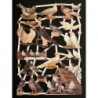 Lámina de cromos troquelados alemanes EF 7299 · Palomas ·