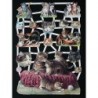 Lámina de cromos troquelados alemanes EF 7301 · Gatitos ·