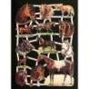 Lámina de cromos troquelados alemanes EF 7302 · Caballos ·