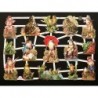 Lámina de cromos troquelados alemanes EF 7312 · Ranitas ·