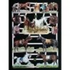 Lámina de cromos troquelados alemanes EF 7322 · Caballos ·