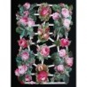 Lámina de cromos troquelados alemanes EF 7328 · Rosas ·