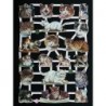 Lámina de cromos troquelados alemanes EF 7329 · Gatitos ·