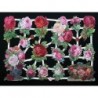 Lámina de cromos troquelados alemanes EF 7330 · Rosas ·