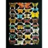 Lámina de cromos troquelados alemanes EF 7336 · Mariposas ·