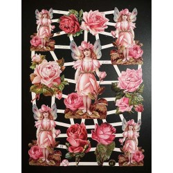 Lámina de cromos...