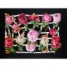 Lámina de cromos troquelados alemanes EF 7362 · Rosas ·
