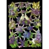 Lámina de cromos troquelados alemanes EF 7367 · Flores en Azul ·