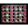 Lámina de cromos troquelados alemanes EF 7373 · Tiras con Rosas ·