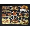 Lámina de cromos troquelados alemanes EF 7376 · Animales del bosque ·