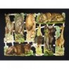 Lámina de cromos troquelados alemanes EF 7386 · Animales Salvajes ·
