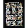 Lámina de cromos troquelados alemanes EF 7388 · Gatitos ·