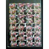 Lámina de cromos troquelados alemanes EF 7133 · Rosas · Purpurina – Brillantina !