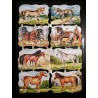 Lámina de cromos troquelados alemanes EF 7149 · Caballos · Purpurina – Brillantina !