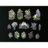 Cromos troquelados sueltos en papel grueso. EF TD ST 7369 · Flores ·