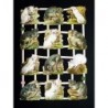 Lámina de cromos troquelados alemanes EF 7432 · Ratones ·